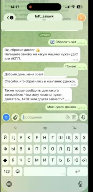 Начало квалификации запроса в Telegram-боте DvizhOK
