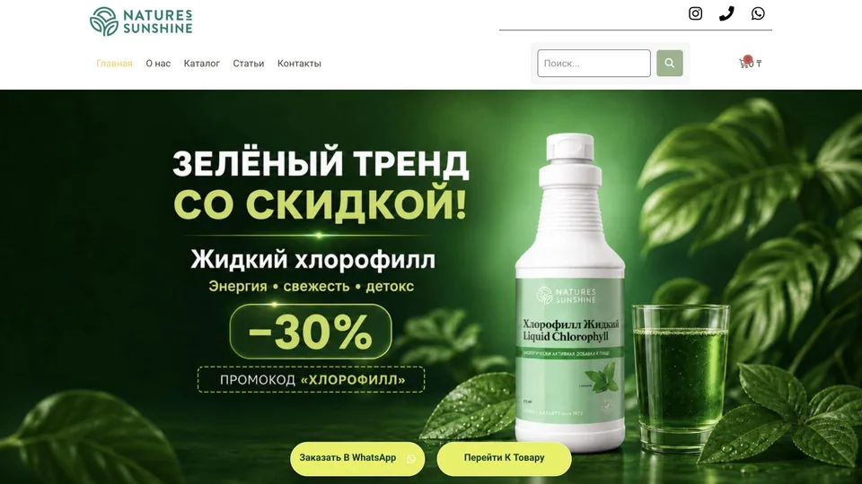 NSP ALMATY — обложка кейса
