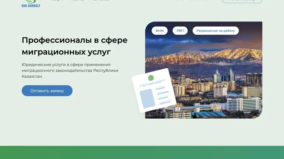 SSS Consult — обложка кейса